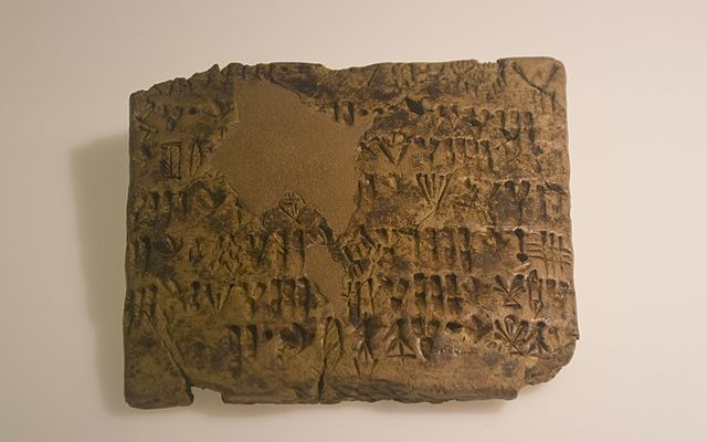 история картографии тесты