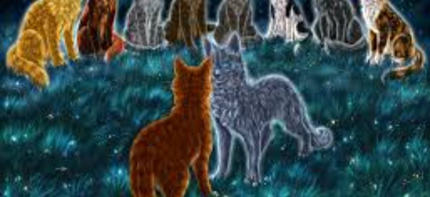 КОТЫ ВОИТЕЛИ В ТЕСТЕ ПРО КОТОВ ВОИТЕЛЕЙ ИСТОРИЯ