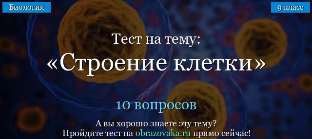 ТЕСТ НА ОПРЕДЕЛЕНИЕ КЛЕТОЧНОЙ ТЕОРИИ 10 КЛАСС С ОТВЕТАМИ